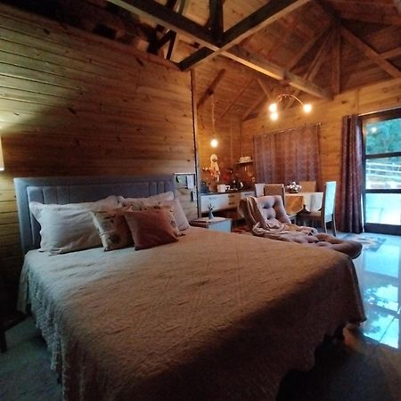 Tiny House Canjerana - Cabana Com Vista Dos Canyons Praia Grande  Exteriör bild